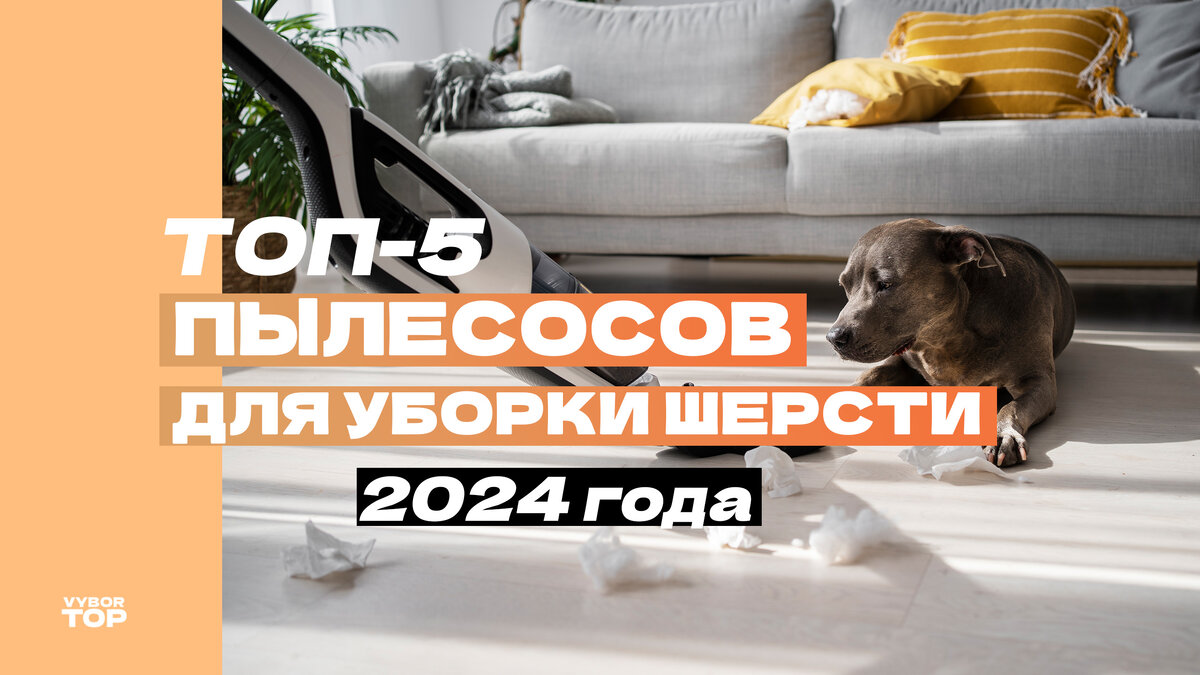 Лучшие пылесосы для уборки шерсти домашних животных