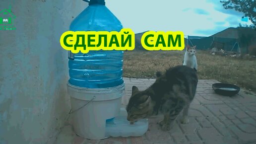 Сделай сам уличную поилку для кошек и собак во двор 💦