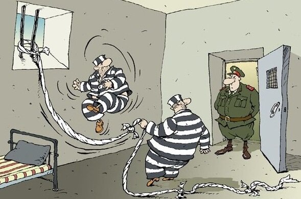 Фото взято из открытых источников