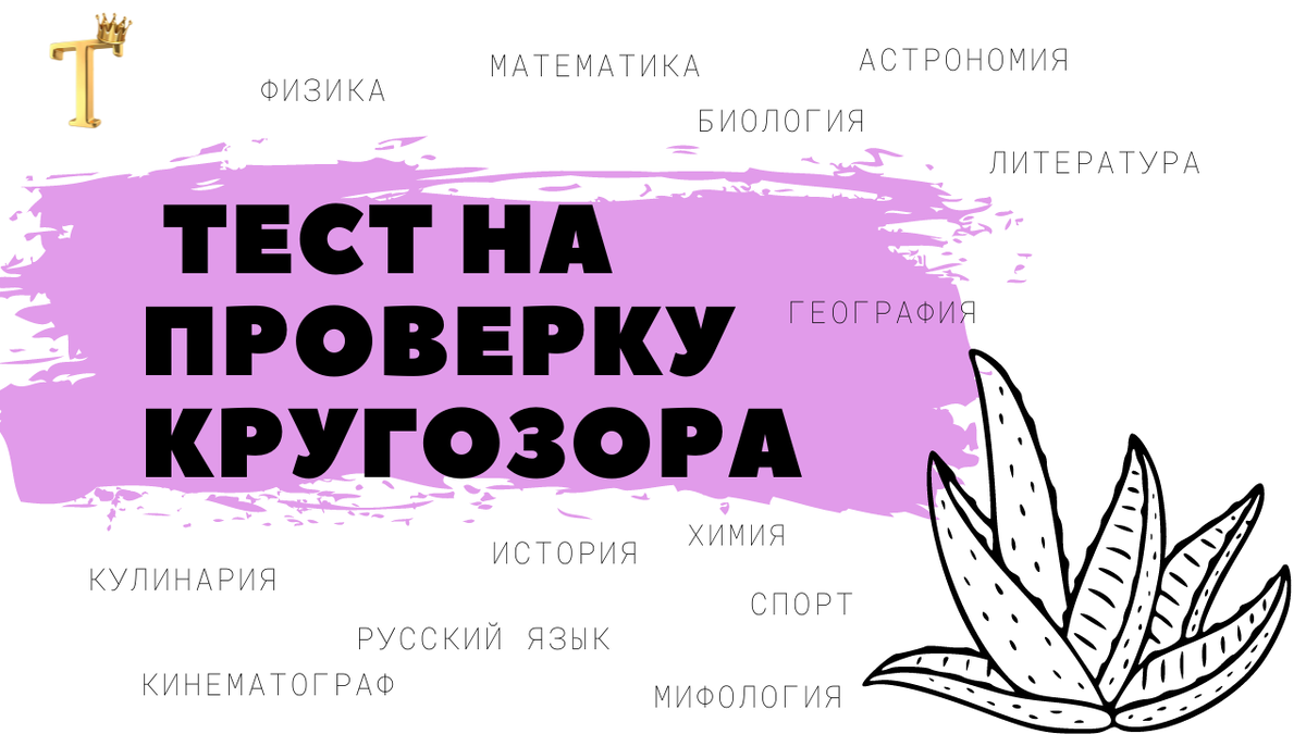 Субботний тест на проверку кругозора (12 вопросов) | Тесты.Перезагрузка |  Дзен