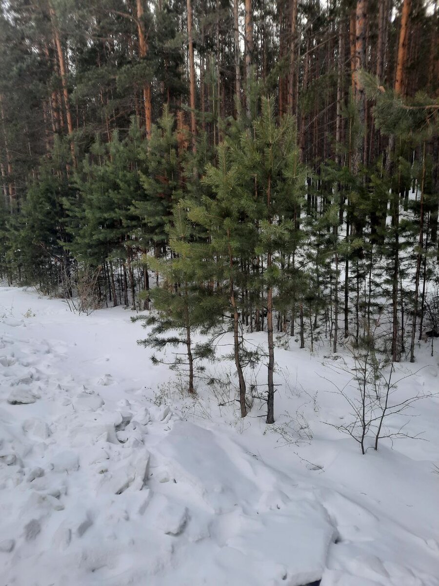 Фото автора.