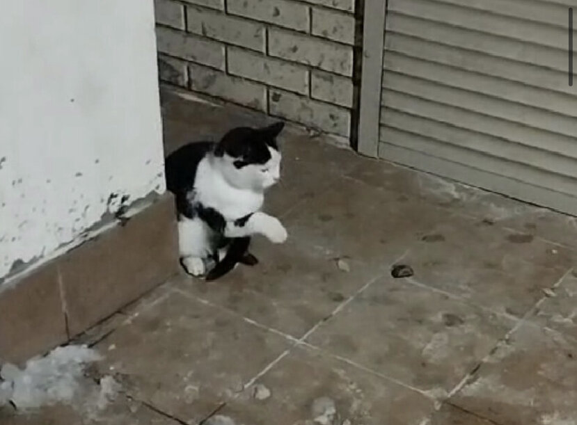 Тиму снова не впустили в подъезд…