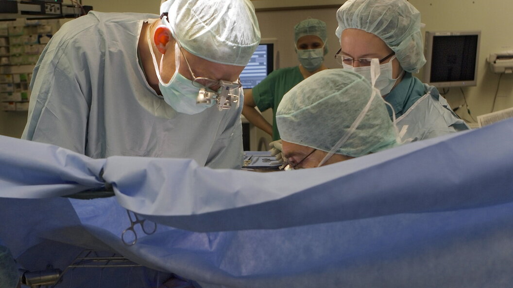    Фото: © Joachim E. Röttgers/imageBROKER.com/Globallookpress