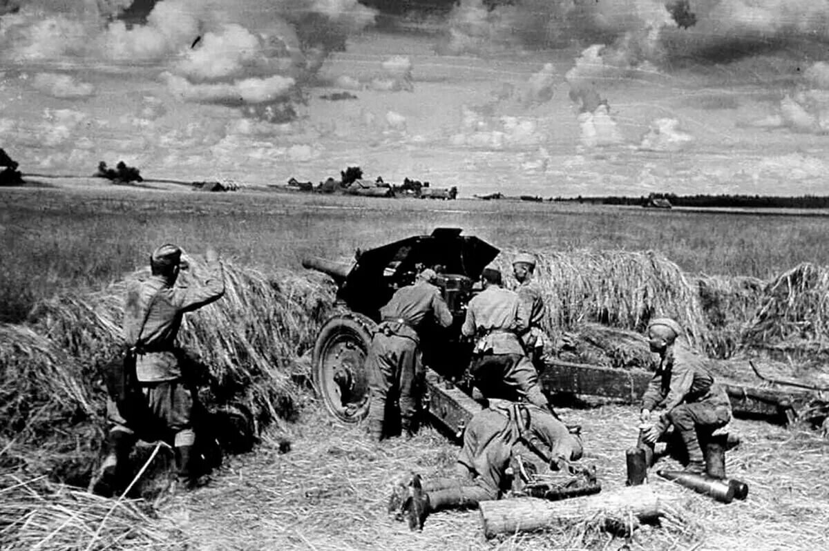 Фото из интернета.