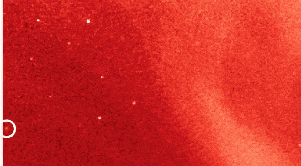   NASA / ESA / SOHO