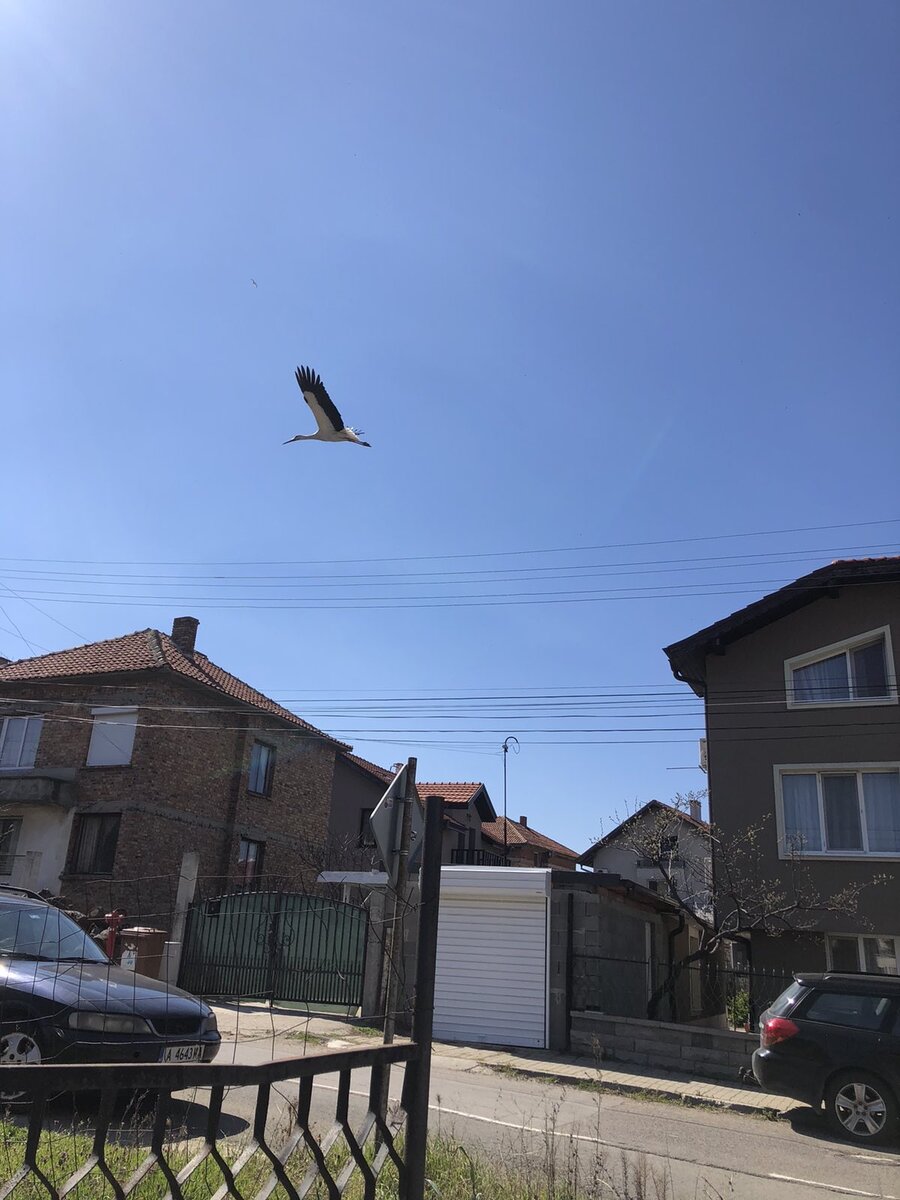 Черноморец, Болгария, 28.03.2024 г.