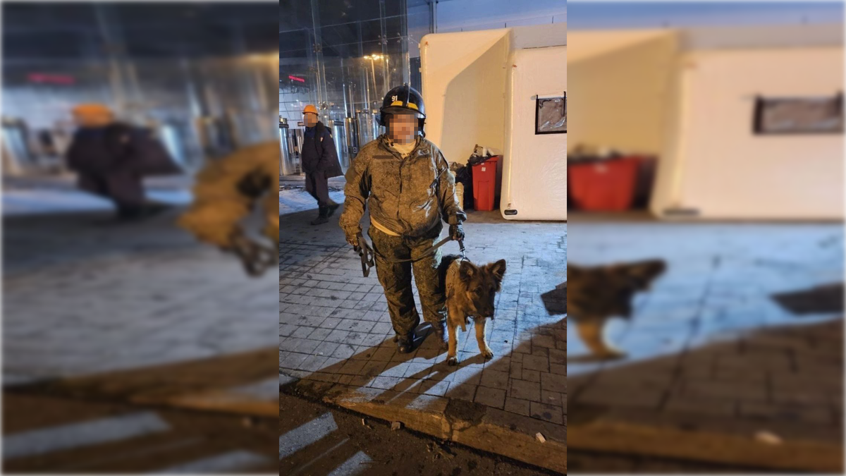 Фото: соцсети