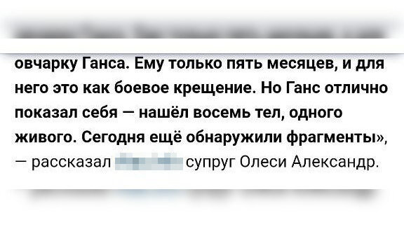 Скриншот удалённой публикации в СМИ / vk.com/ahengard