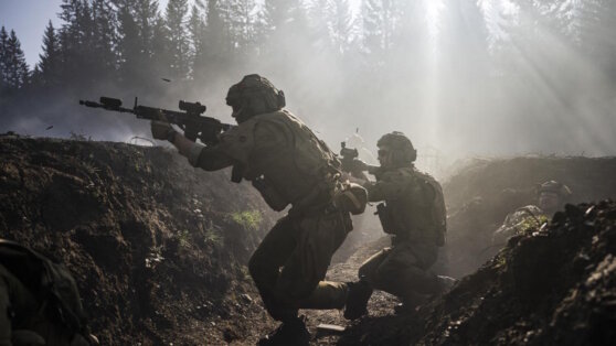    В Германии заявили, что НАТО не сможет применить пятую статью на Украине Татьяна Сидорова