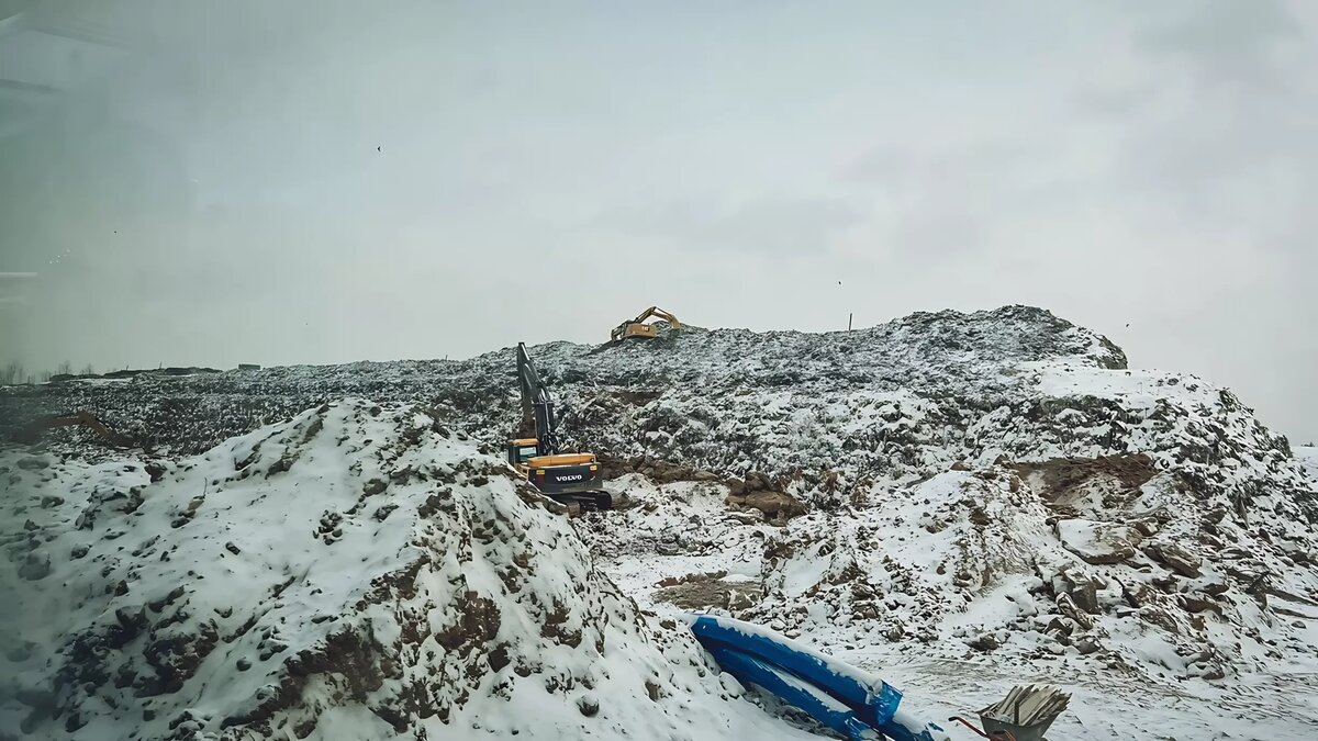    В этом уверенна природоохранная прокуратура.