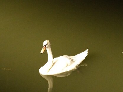 Фотография из личного архива автора