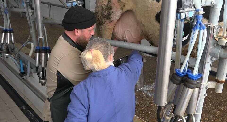    Телеканал «360»