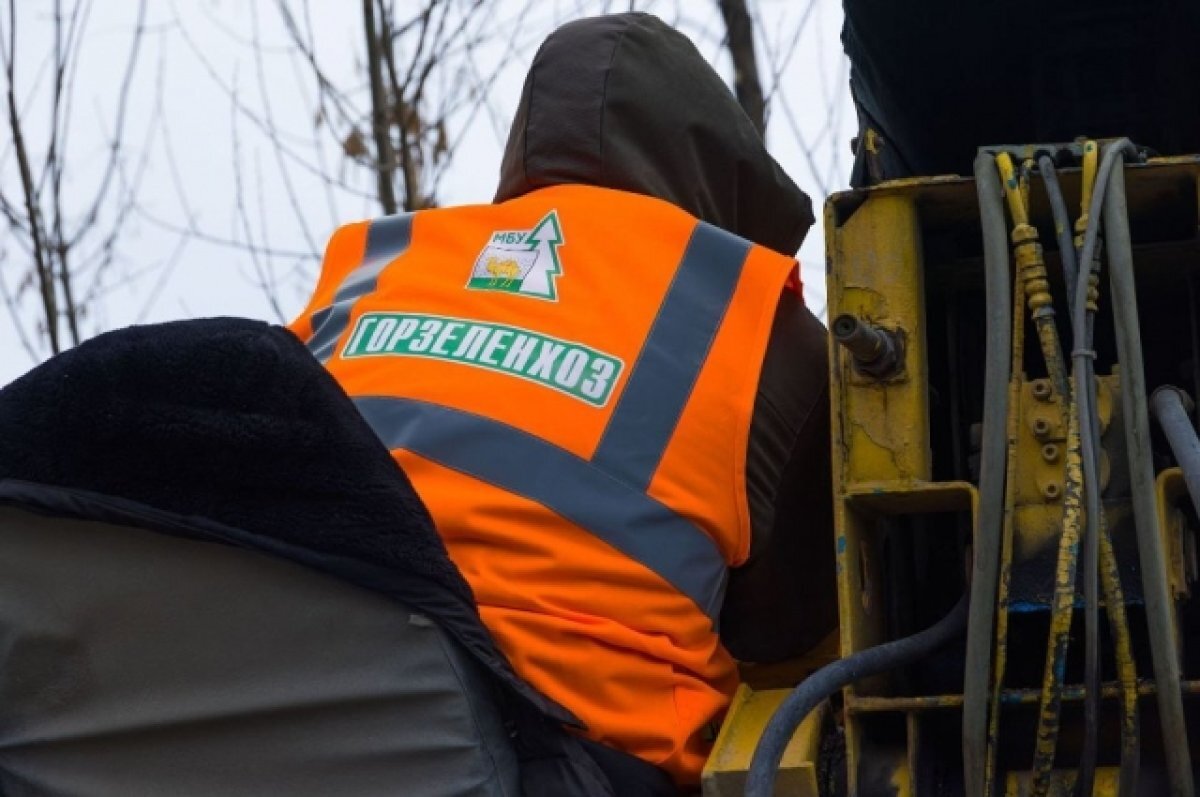    В Челябинске уход за зелеными насаждениями отдали муниципальному учреждению