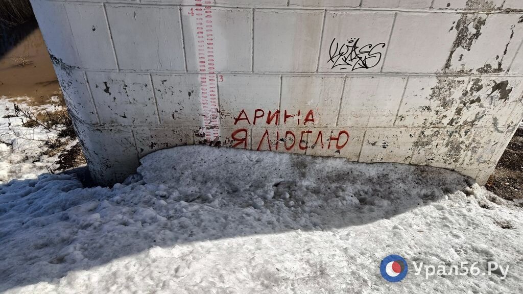    Арина еще не скрылась под водой: как сейчас выглядит река Урал в Оренбурге?