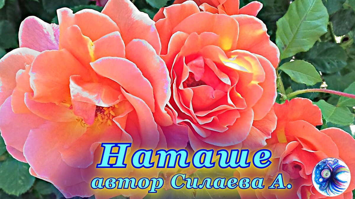 Фото автора с обработкой