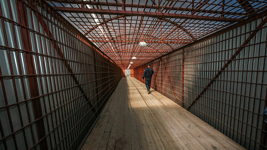 Черный дельфин как выглядит внутри Маньяк нападал на детей, пока они были дома одни. Почему его долго не могли пойм