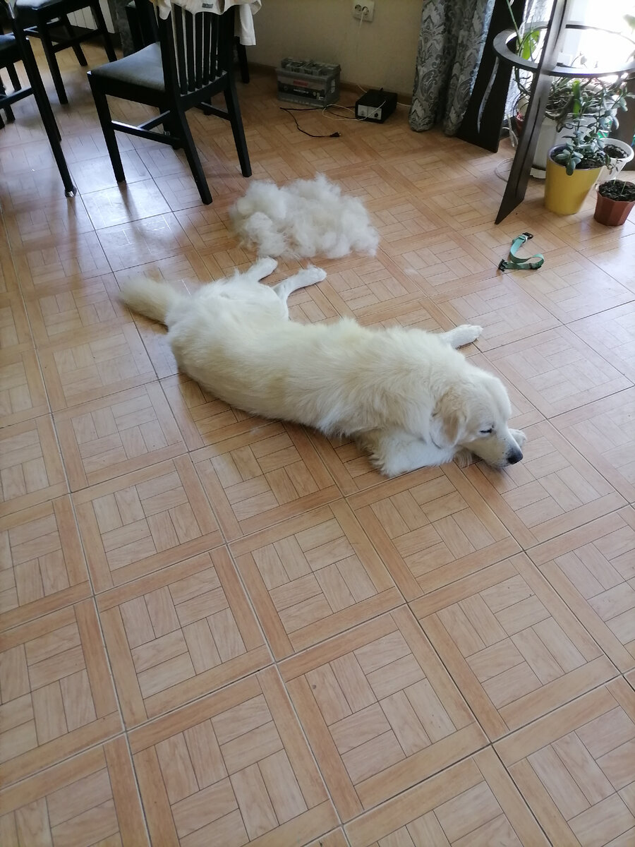 Немножко причесались. 