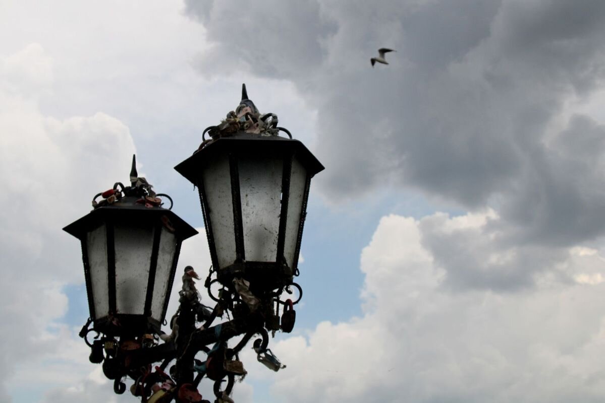 Фото: Е. Зимней 