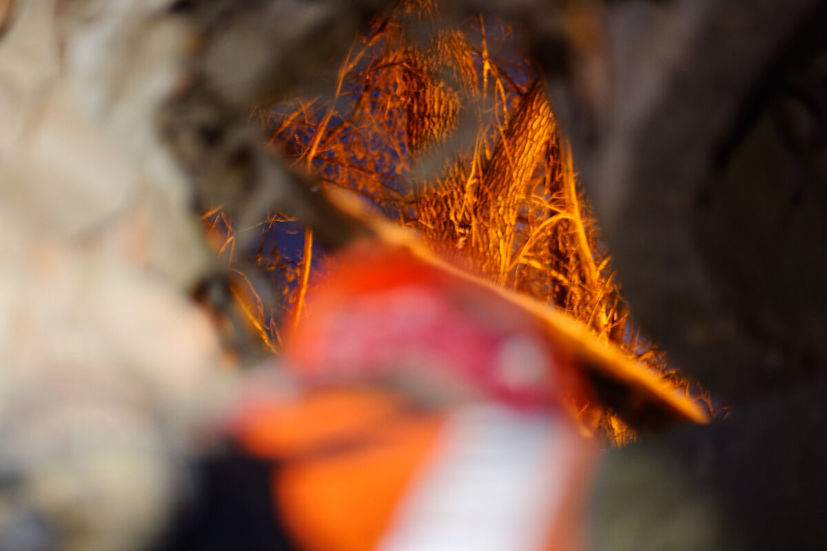 01. Первые кадры отображают не пойми что.