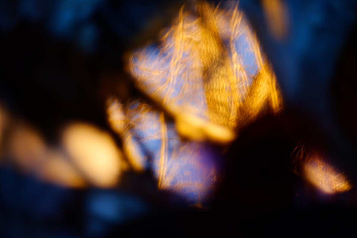 02. Какие-то деревья, ветки...