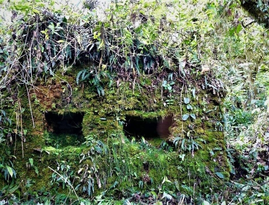 (Фото: sun1-93.userapi.com).