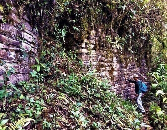 (Фото: sun1-19.userapi.com).