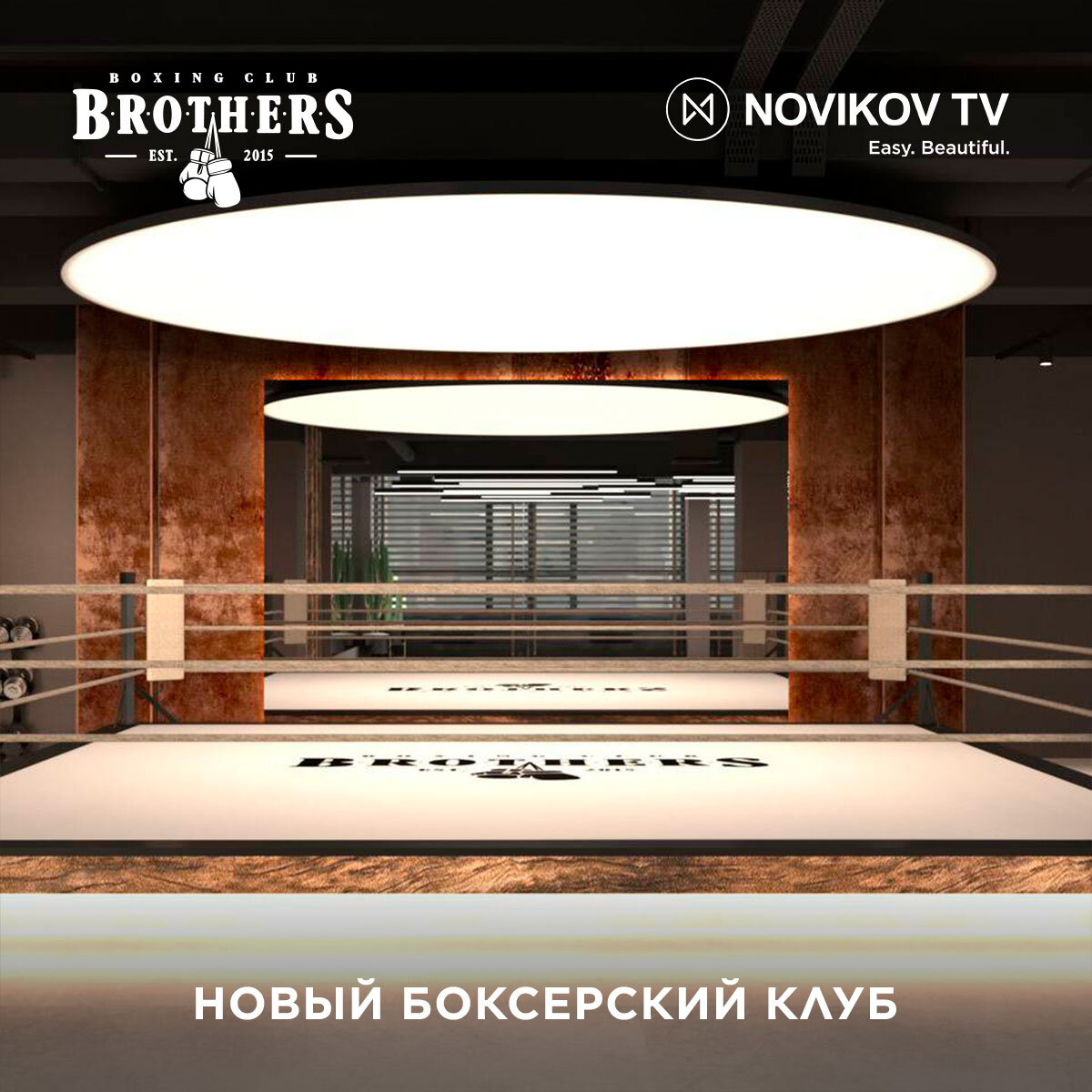 Отличные новости от партнера Novikov TV | Novikov TV | Дзен