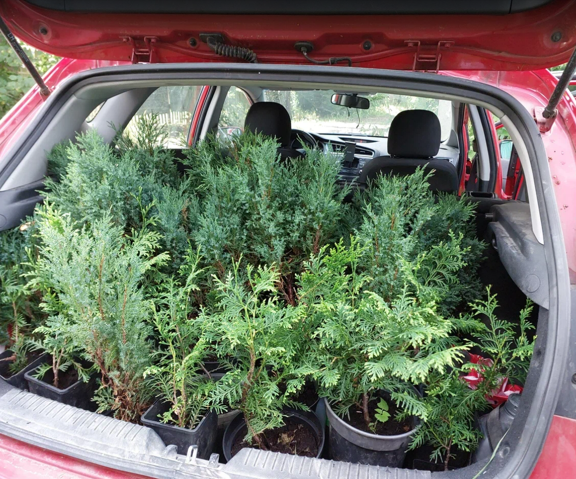 Приехали из Сергиево Посада