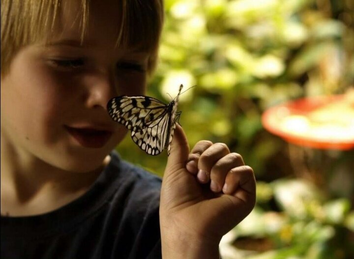 Изображение взято из свободных источников интернета. 