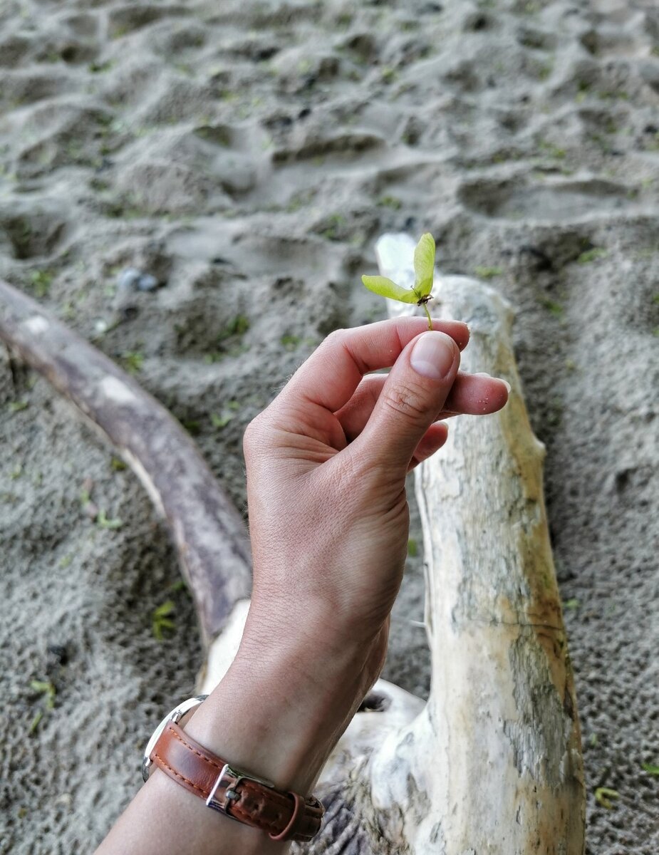 Фото из личного архива