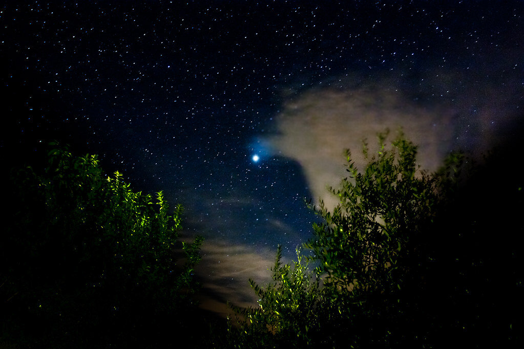 Из открытых источников