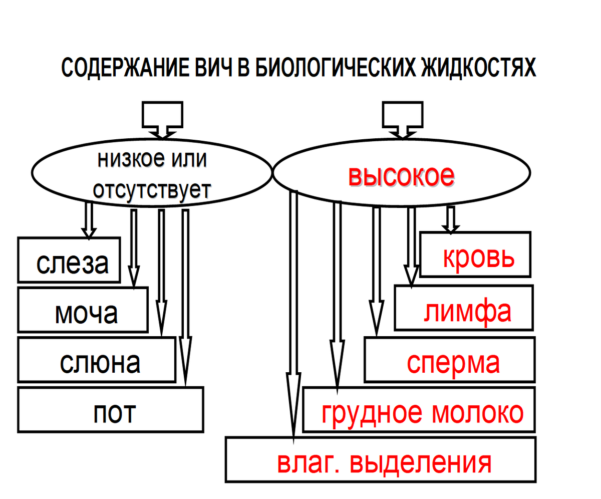 Содержание ВИЧ В биологических жидкостях. Концентрация вируса ВИЧ В биологических жидкостях. В каких биологических жидкостях ВИЧ больше всего. В каких биологических жидкостях и вмч больше всего.