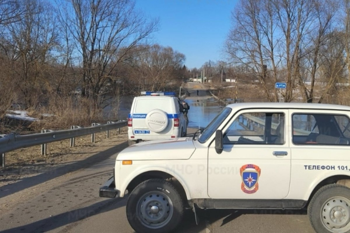    В Щёкинском районе Тульской области ушёл под воду мост