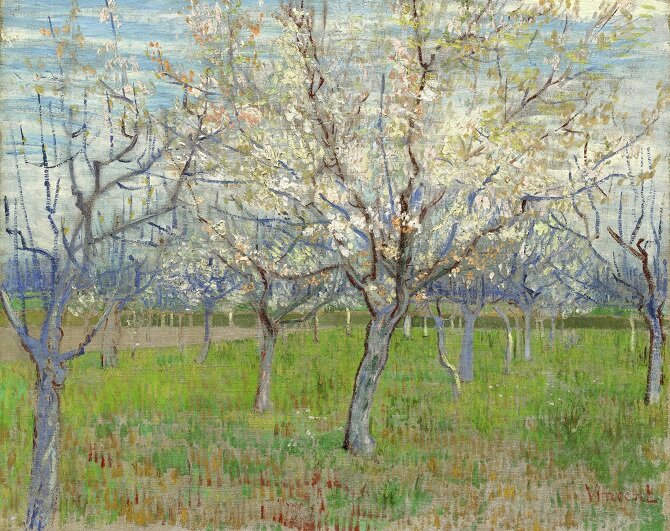 Винсент Ван Гог. Фруктовый сад с цветущими абрикосами.1888 март. Холст, масло. 64 х 80. Музей Ван Гога, Амстердам