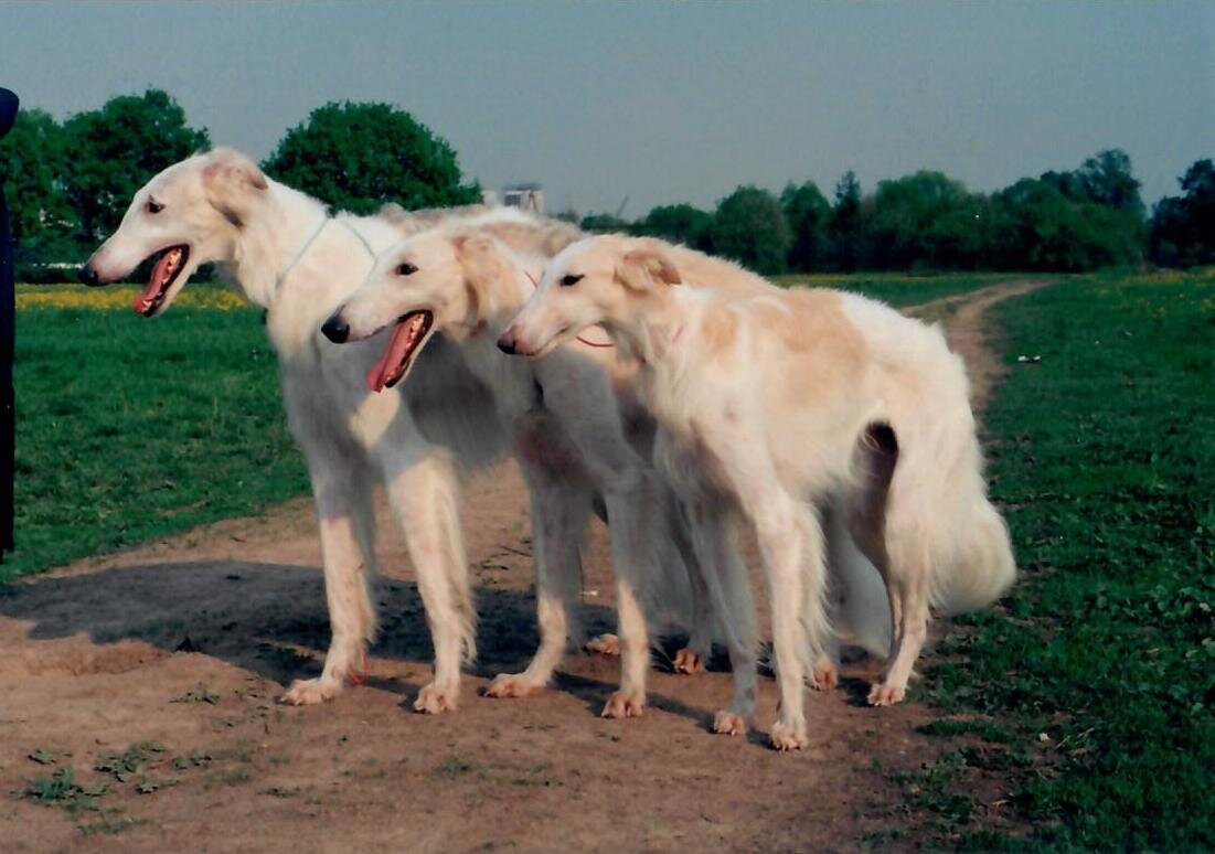 Участники событий