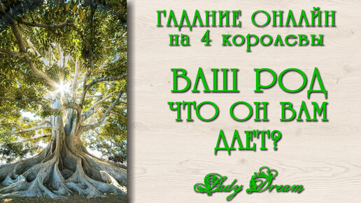 🌳 Что Вы получаете от своего рода? Ваши родовые сценарии / 4 королевы таро расклад на самопознание / Lady Dream