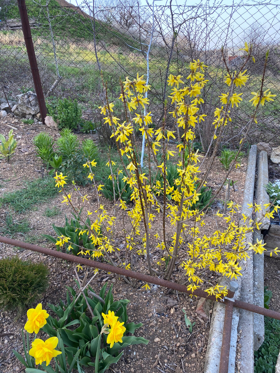 Фото сезона 24