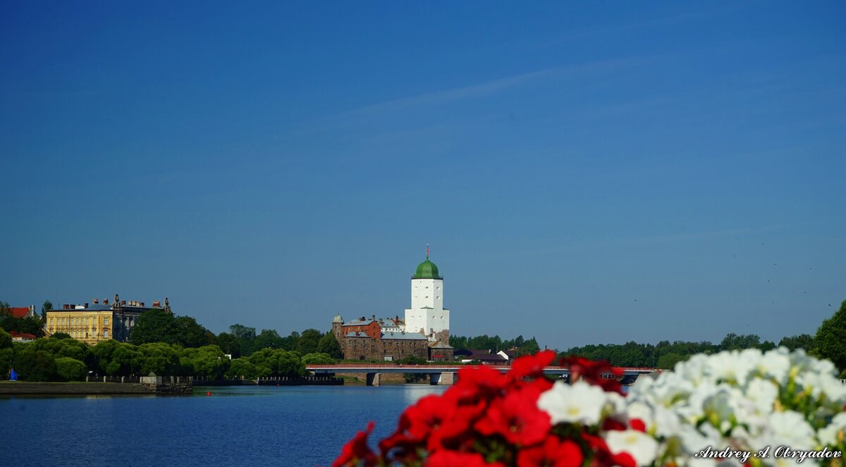Вид на Выборгский Замок с набережной.