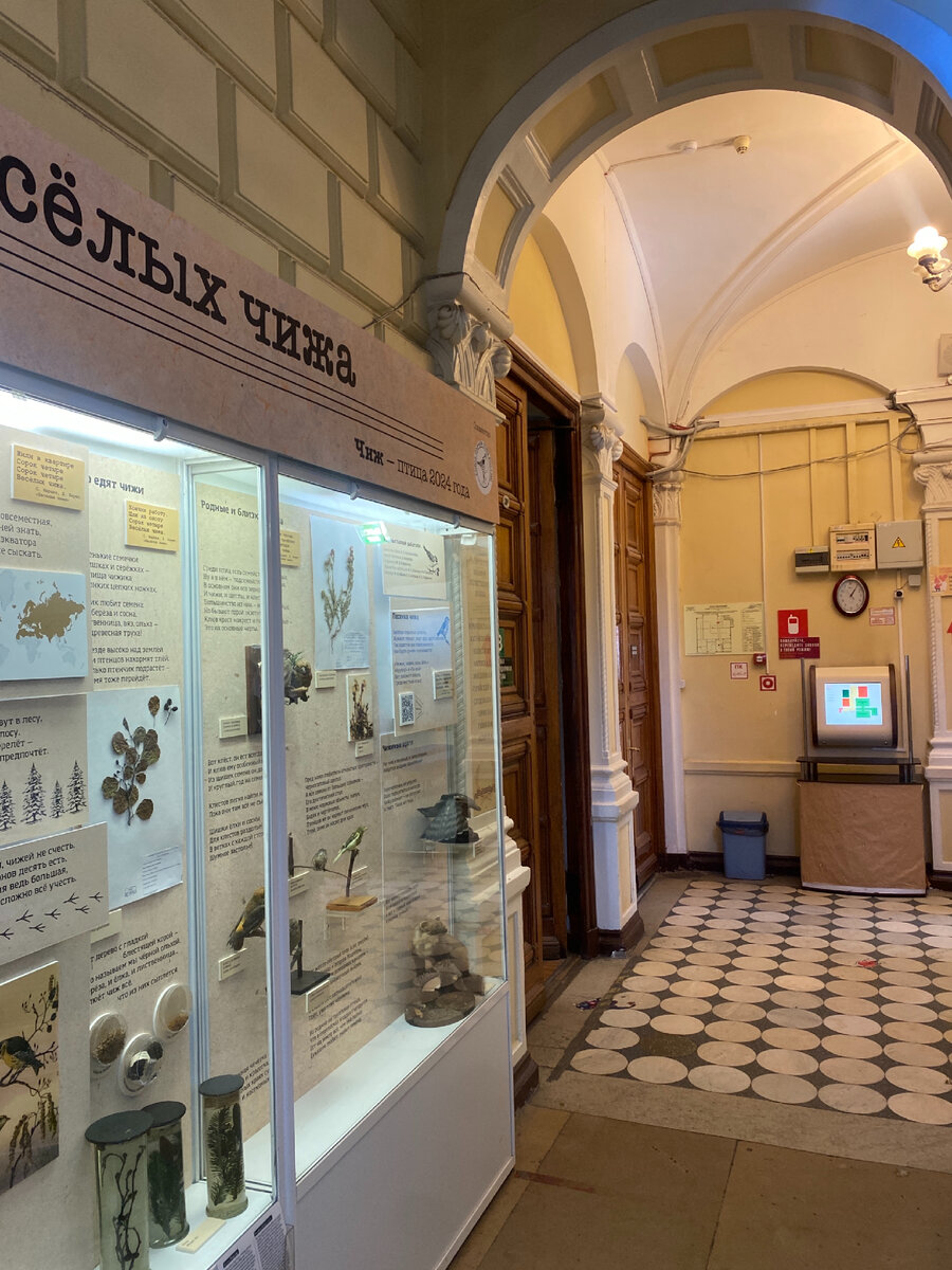 Фото автора. Конечно, при Щукине обстановка была шикарнее, сохранилось далеко не все 