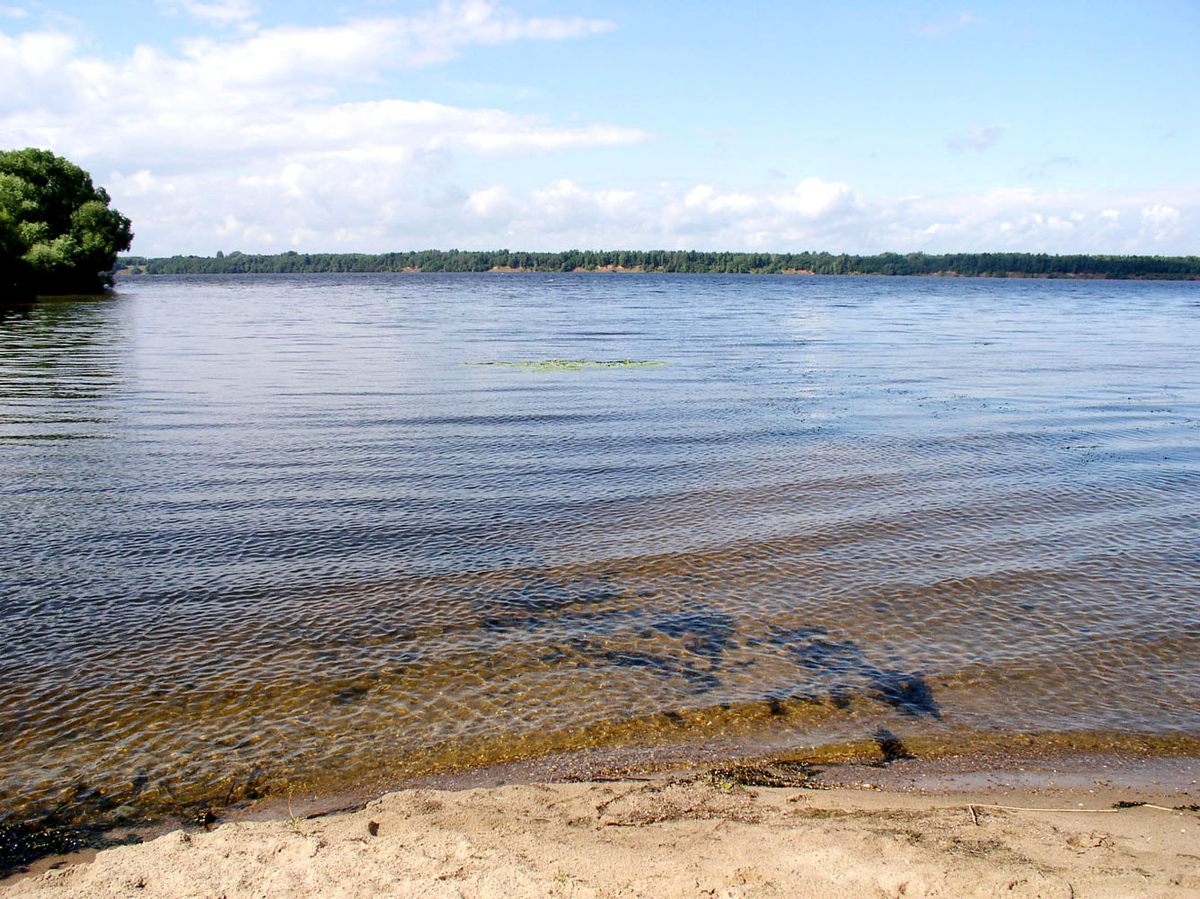 Угличское водохранилище, фото из интернета
