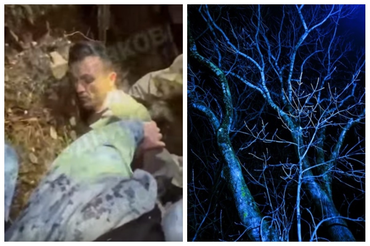 Чем занимается профессор громов. Почему сбежал электроник. Электроник убегает от профессора. Почему электроник сбежал профессор громов. Охарактеризуй профессора громова приведи цитаты из текста.