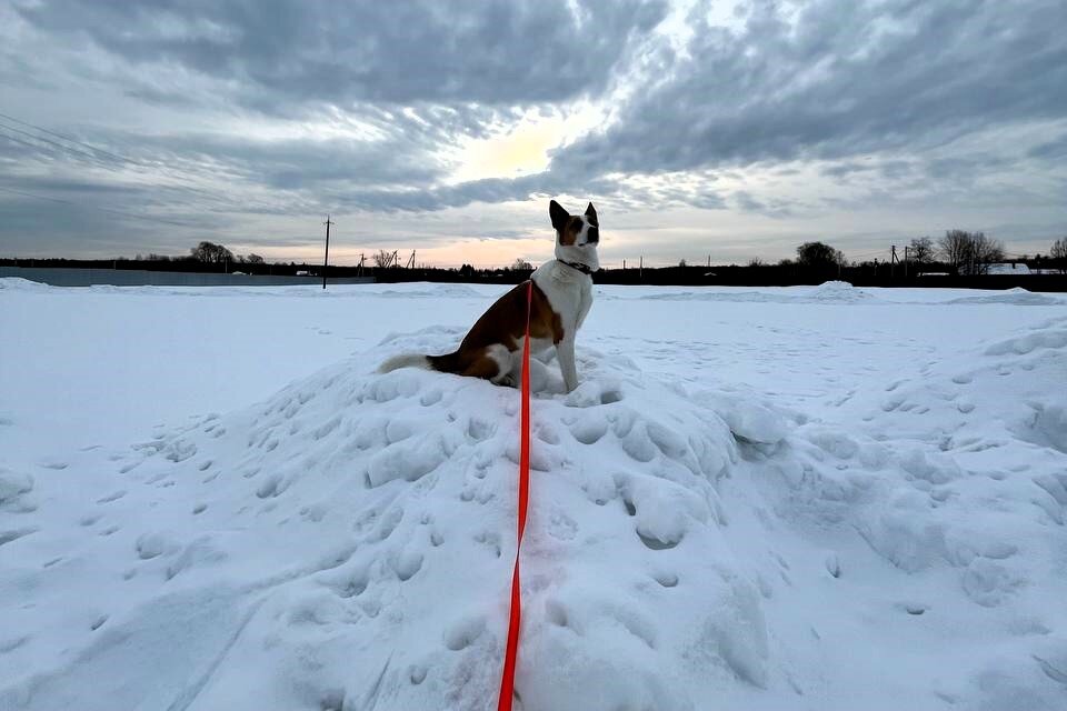 Фото- собственность канала