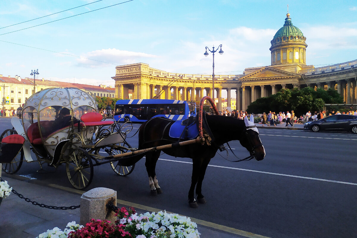 Невский проспект (фото автора)