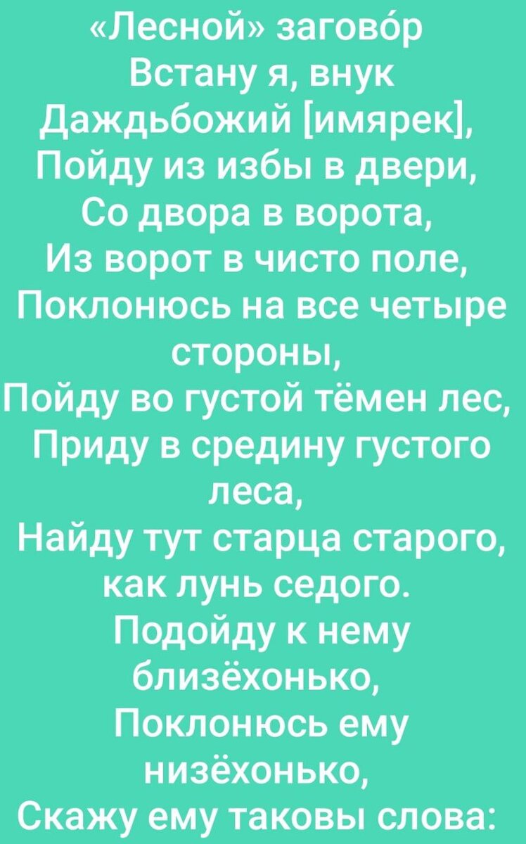 Ведьмёныш. По следам легенды. Про нечисть опивень, про сказку и про дорогу  | Ведьмины подсказки. Мифы, фэнтези, мистика | Дзен