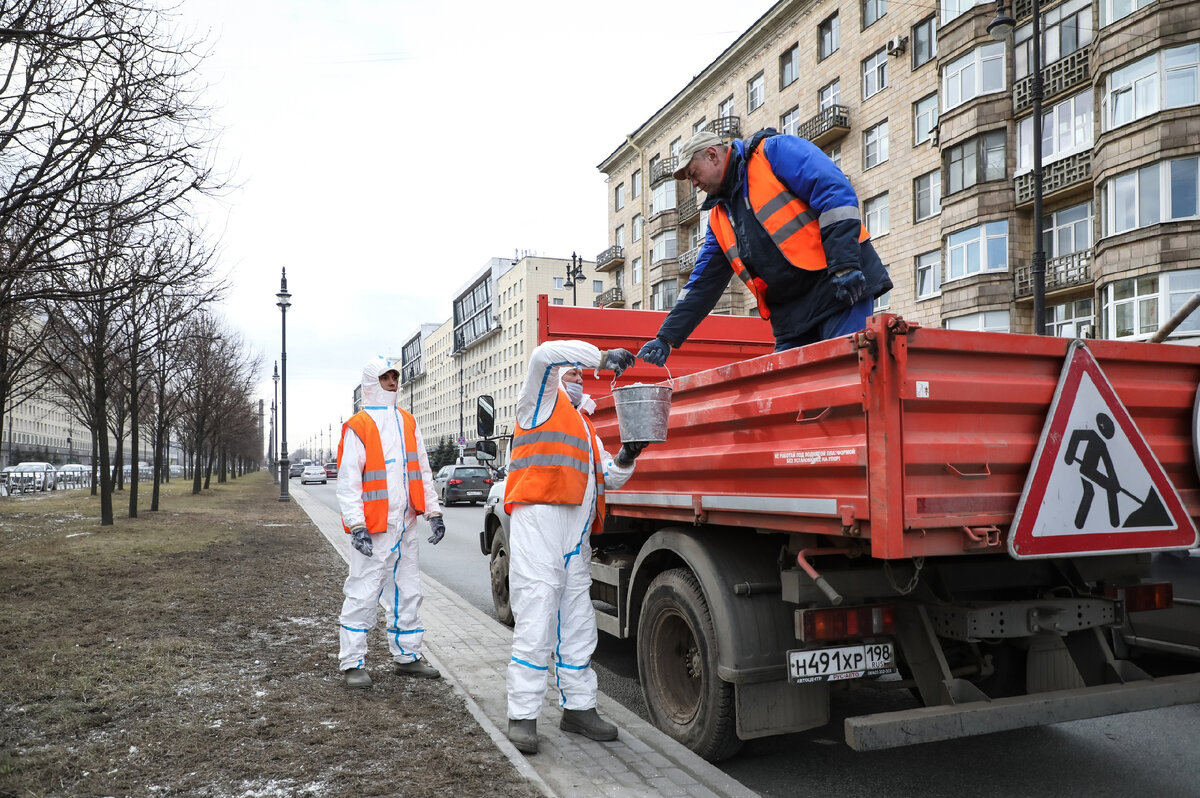 Коммунальщики Петербурга спасают газоны с помощью белого порошка. Горожане:  «А зачем было сбрасывать на них реагенты?» | Мегаполис онлайн | Дзен