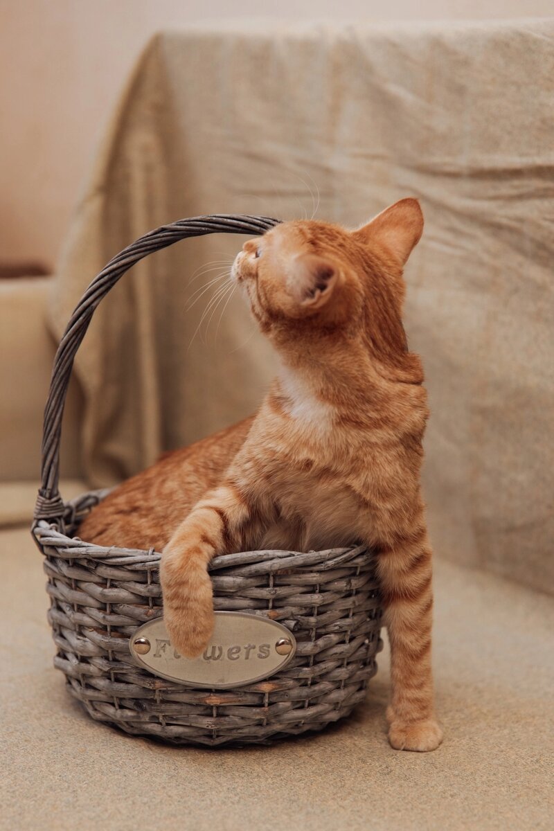 Где там мой Человек?) 