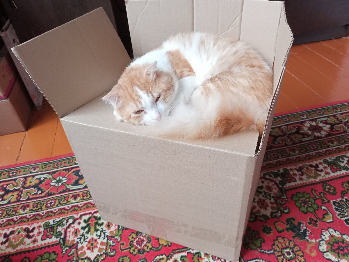 Помогал вчера вещи собирать 