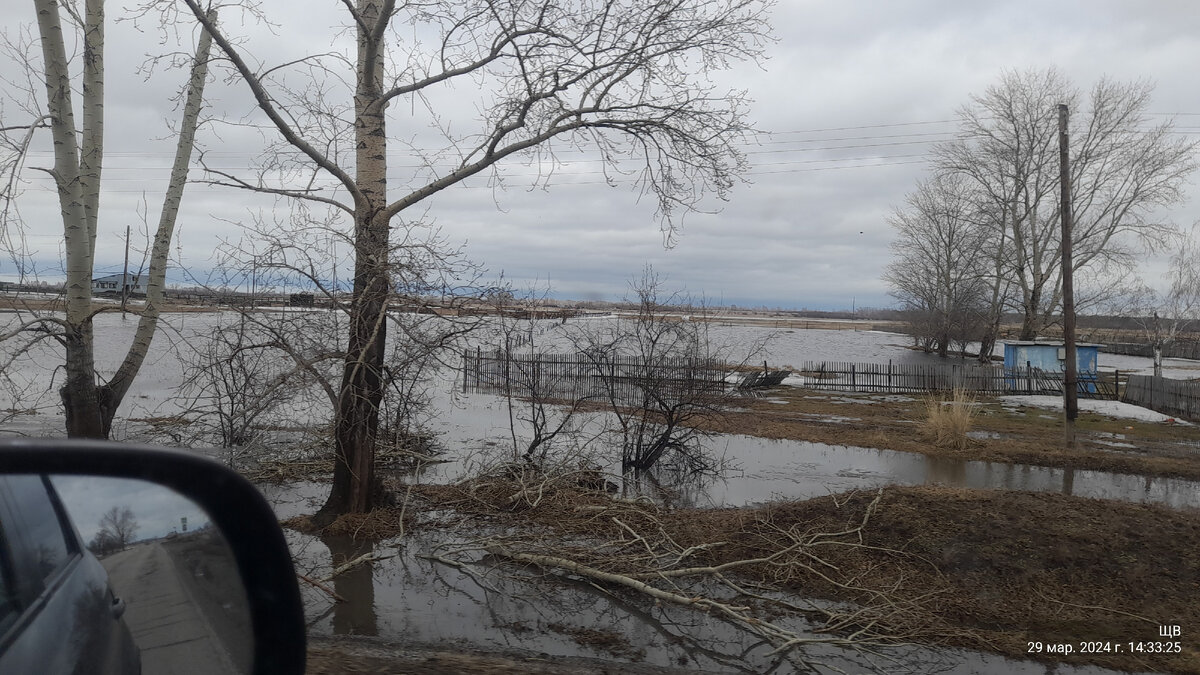 огороды в воде