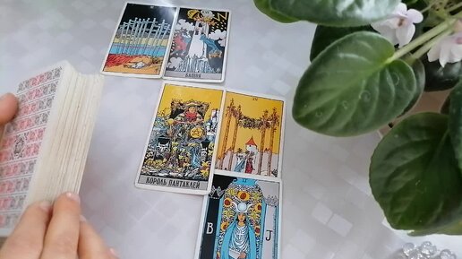 Таро с ниной дзен расклады последние расклады