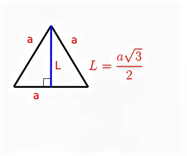 Высота равностороннего треугольника формула. Биссектриса равностороннего треугольника формула.